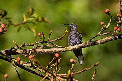 联想超1000美元的第二代掌机也将支持Xbox全屏体验